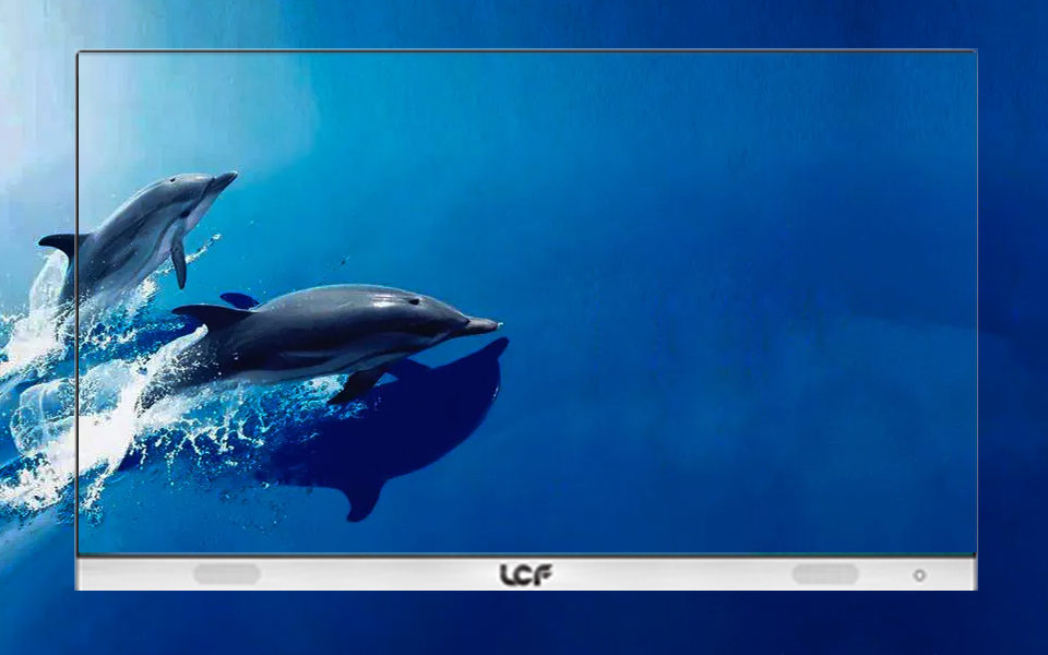 第二張小圖.jpg 第二張小圖.jpg